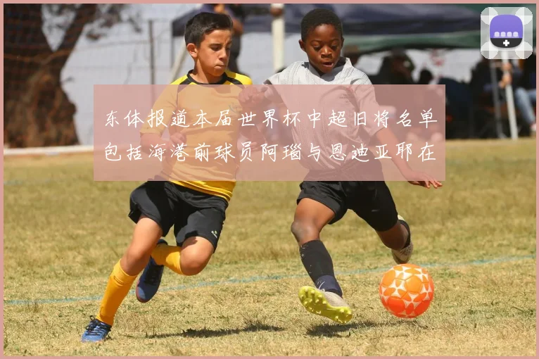 东体报道本届世界杯中超旧将名单包括海港前球员阿瑙与恩迪亚耶在内的10位球员