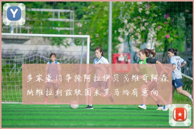 多家豪门争抢阿拉伊贝戈维奇阿森纳维拉利兹联国米罗马均有意向