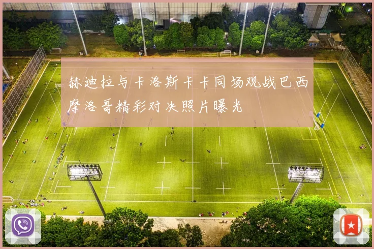 赫迪拉与卡洛斯卡卡同场观战巴西摩洛哥精彩对决照片曝光